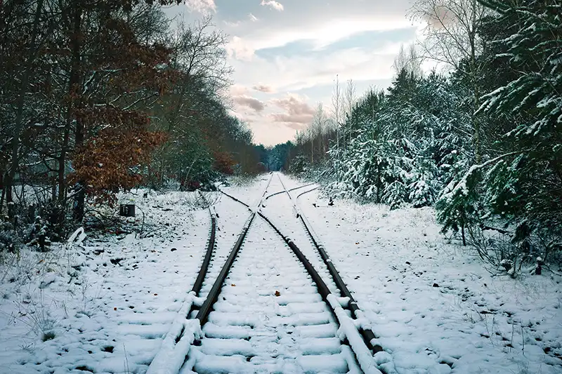 Verschneite Weiche in einem Wald